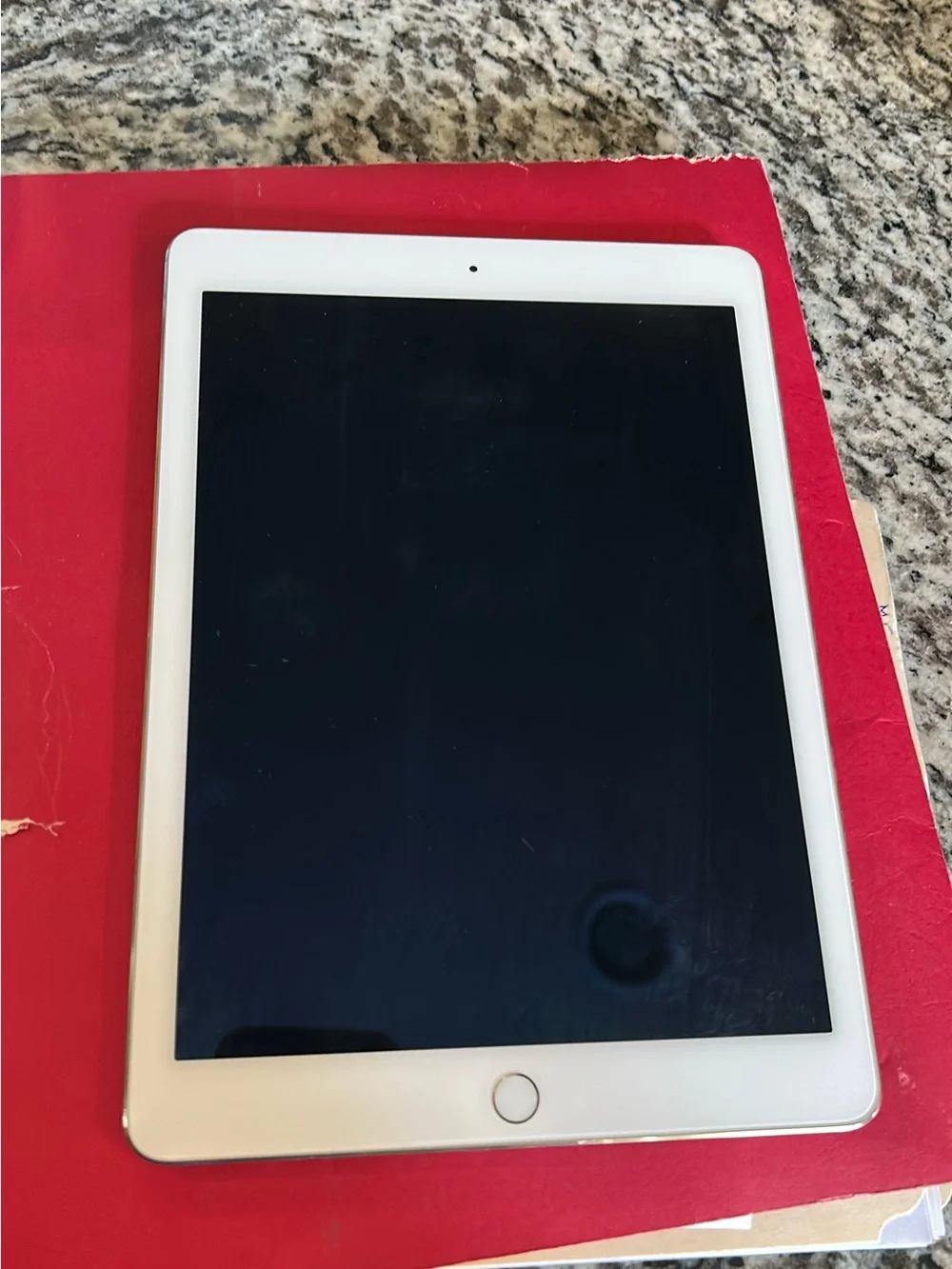 Apple iPad with White Bezel and Gold Trim